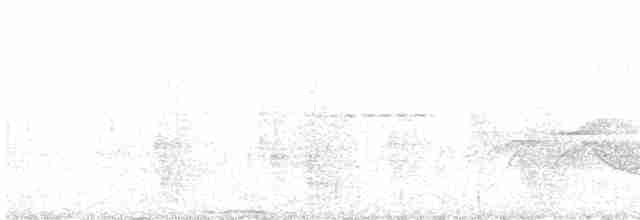 holub kouřový - ML470227531