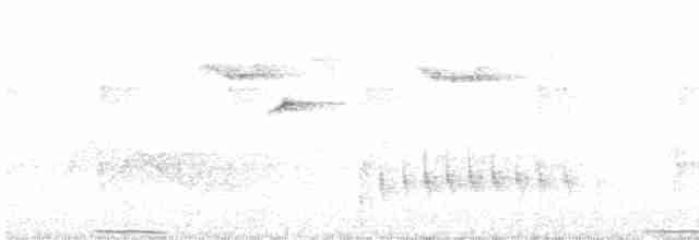 灰林鴿 - ML470227551