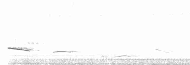 Gray-bellied Cuckoo - ML470234471