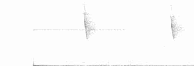 Tangara émeraude - ML470289161