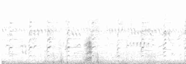 Ibis à face blanche - ML470301721