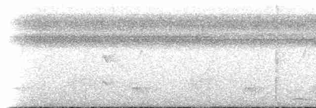 Black-tailed Trogon - ML470308561