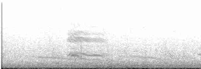 Сероголовая чайка - ML470325491