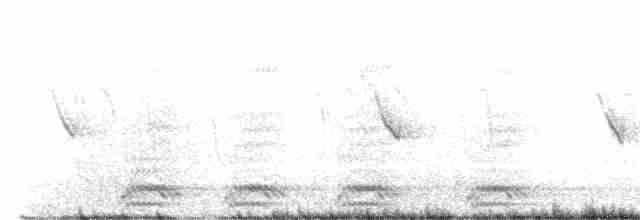 Cuervo Grande - ML470326271