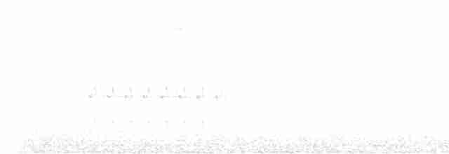 křivka bělokřídlá - ML470327011