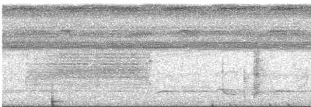 Чернохохлая гологлазка - ML470341851