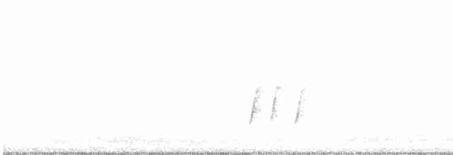Кривоклювый пересмешник - ML470357591