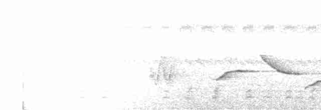 Spot-breasted Wren - ML470381421