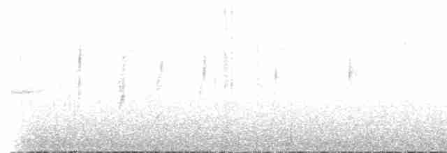 Breitspiegel-Nachtschwalbe (atripunctata) - ML470384371