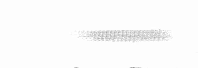 Pine Warbler - ML470406601