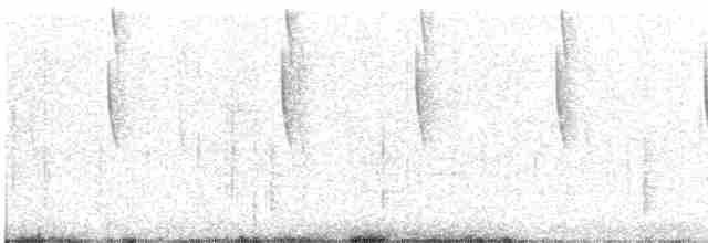 Широкохвостый колибри - ML470414871