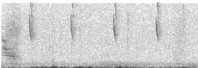 Широкохвостый колибри - ML470414881