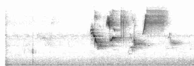 Turuncu Gagalı Bülbül Ardıcı - ML470416041