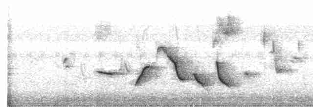 Гвианский крапивник - ML470418751