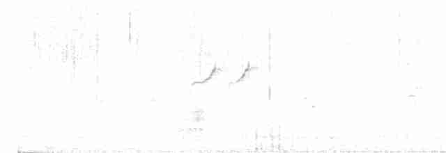 Улит-отшельник - ML470419821