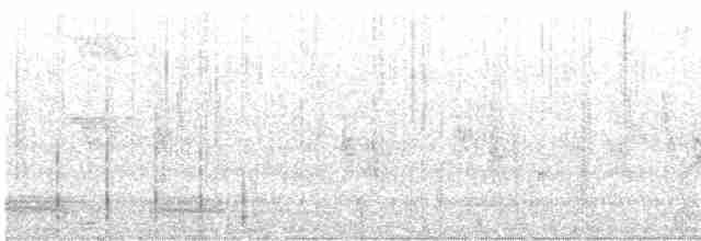 Trepador de Cachemira - ML470452851