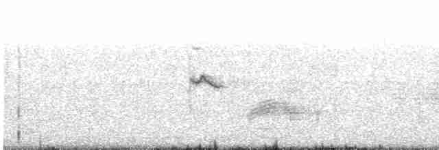 Common Tailorbird - ML470457191