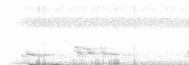 Boyalı Horoz Kekliği - ML470467181