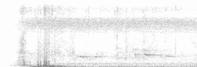 Boyalı Horoz Kekliği - ML470467251