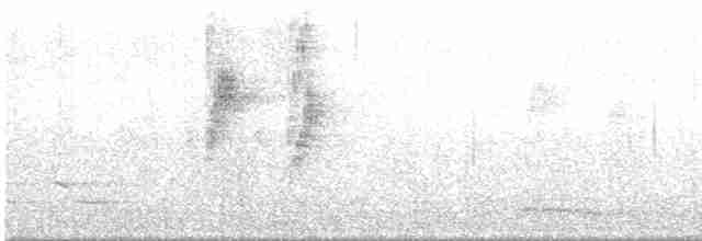Gözlüklü Drongo Sinekkapanı - ML470487021