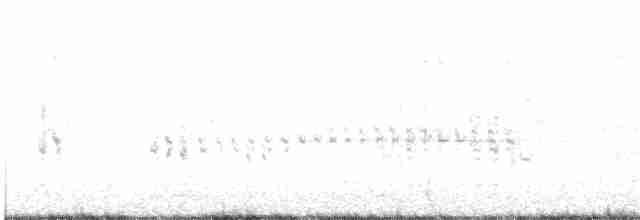 フサホロホロチョウ - ML470490061