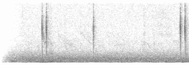 Colibri vesper - ML470495331