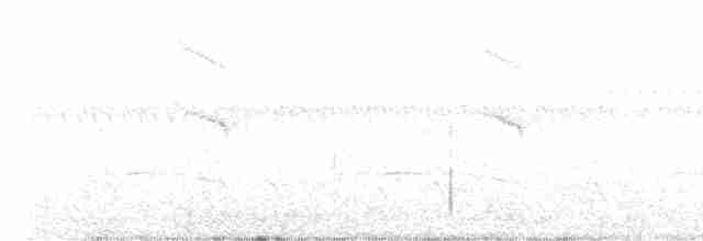 Bindennektarvogel - ML470508601