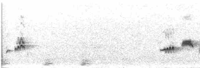 Rufous-tailed Scrub-Robin - ML470529831