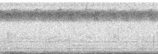 Braunstirn-Brillenvanga - ML47061