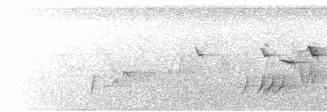 オウギアメリカムシクイ - ML470611161