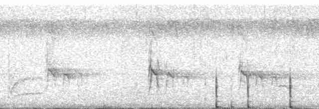 Светлобрюхий зимородок - ML47062