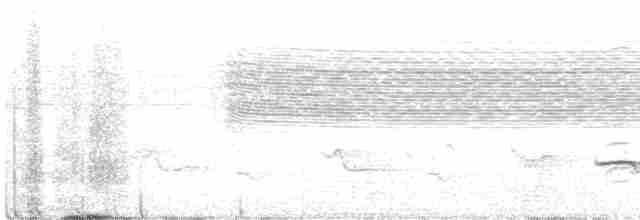 Striped Kingfisher - ML470633211