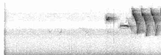 Rufous-capped Brushfinch - ML470635571