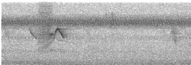 Трав’янка сіра - ML470661621
