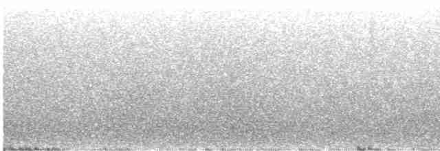 Kara Kırçıllı Ötleğen - ML470678911
