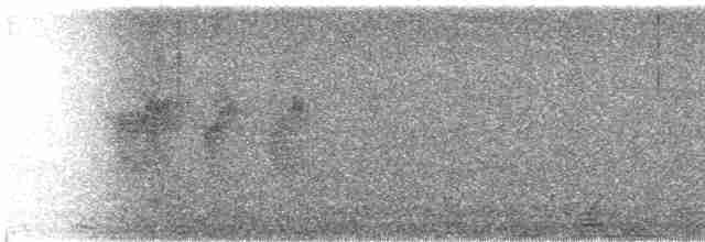 Вилохвістка плямиста - ML470687021