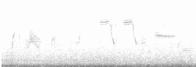 Ивовый мухолов - ML470718291