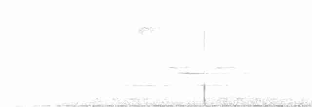 Black-billed Cuckoo - ML470754301