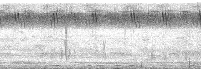 Braunstirn-Brillenvanga - ML47076