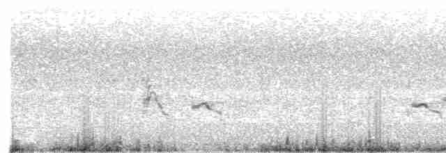 Little Ringed Plover - ML470800231