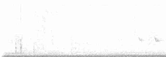 Chaparralgrasmücke - ML470829511