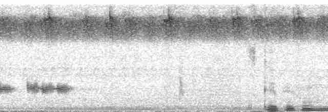 Braunstirn-Brillenvanga - ML47084