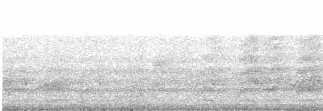 Psittaciformes, unbestimmt (parakeet sp.) - ML470937181