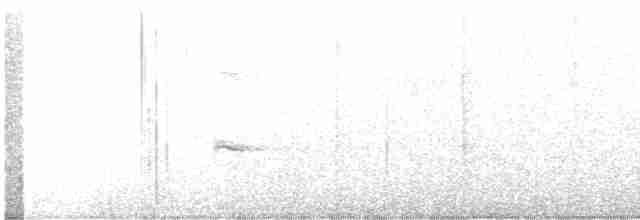 Корольковая пипра - ML470952471