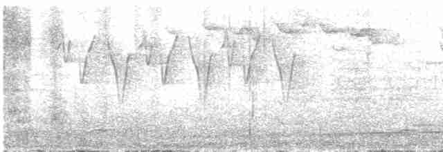 Трагопан сірогрудий - ML470962111