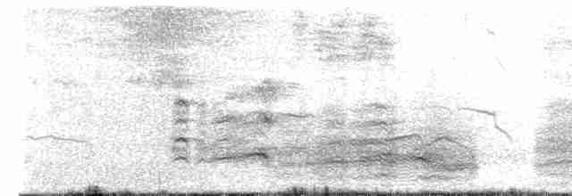 裏海燕鷗 - ML471195711