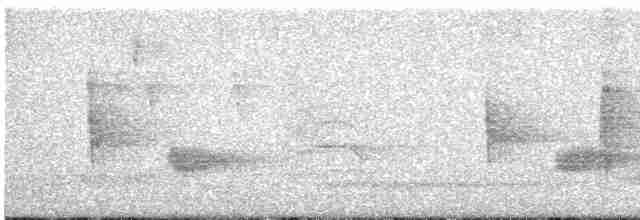 Чернокрылая пиранга - ML471195781