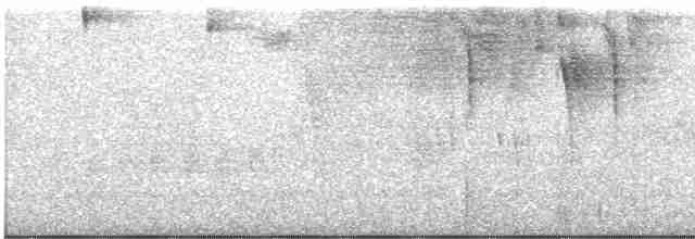 Kara Yüzlü Tohumcul - ML471235261
