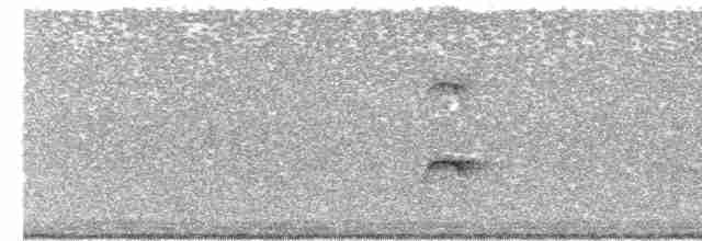 Eurasian Oystercatcher (Western) - ML471256041
