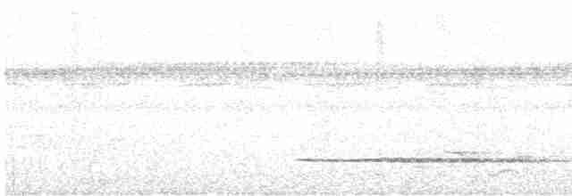 Little Tinamou - ML471263211